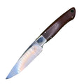 A fixed-blade knife with a polished silver steel blade and a dark brown wooden handle, placed diagonally on a solid green background.
